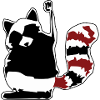 raccoon waschbaer baer baby12