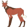 Maned Wolf