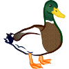 duck