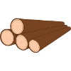 Tree trunk