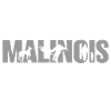 malinois gray