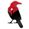 The Night City Crow