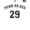 penn_ar_bed2
