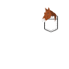 Pocket horse funny pictures