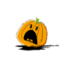 Pumkin'ell it's Halloween!