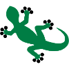 Gecko / Lizard