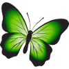 butterfly butterfly silhouette garden gardenin