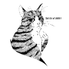bad kitten