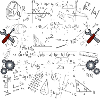 Ingenieur