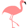 flamingo