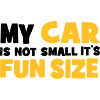 Small car