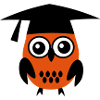 6061912 119208075 Owl