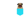 Pug Pug Comic