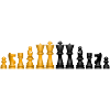 Schach