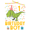 Birthday Boy - 1st birthday