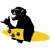 singe surf