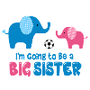 Big Sister Elephant