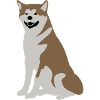 Huskie