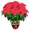 Blumenstrauß