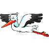 Storch