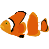 Clownfisch