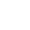 Marathon Runner 42.195 km