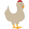 chicken