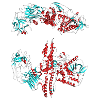 Botulinumtoxin (Botox)