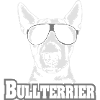 Bullterrier frais