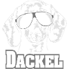 DACKEL cool
