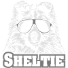 SHELTIE cool dogs dog wilsigns