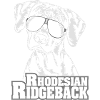 RHODESIAN RIDGEBACK cool