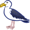 gull