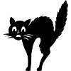 Cat fear