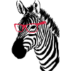 Zebra mit Brille