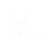 eagle head