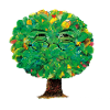 The Dream Magic Tree