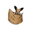 Kangaroo belly bag