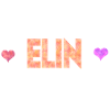 Elin
