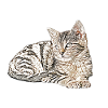 Süsse katze