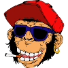 Gorilla Smoke
