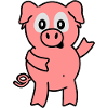 Pig