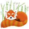 Panda roux