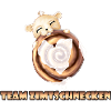 Team Zimtschnecken