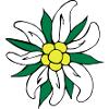 edelweiß_3