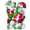 fleurs