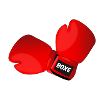 Gants de boxe