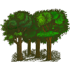 forêt