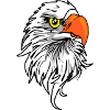Eagle comic
