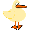 duck